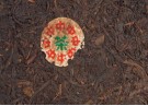 1980年廣東餅(圓票)